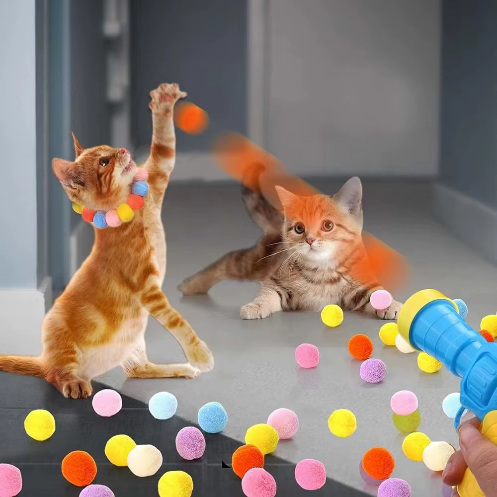 Interactive Cat Launcher